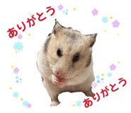 843364889