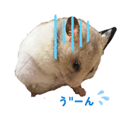 843364891