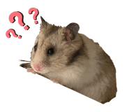 843364917