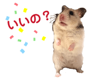 843364918
