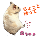 843364922