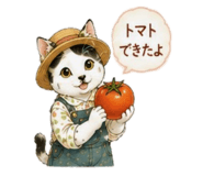 843365127