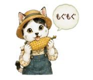 843365139