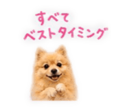 843365331