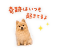 843365335