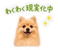843365336