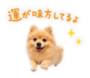 843365340