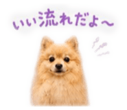 843365348