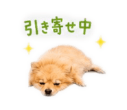 843365355