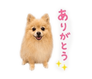 843365359