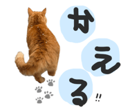 843365615