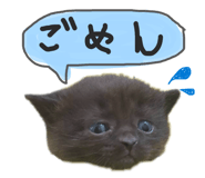 843365617