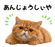 843366035