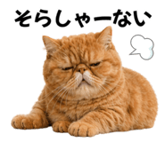843366038