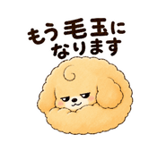 843366084
