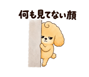 843366091