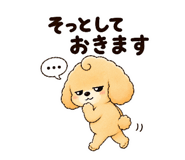 843366094