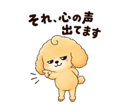 843366100