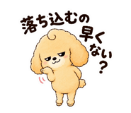843366102