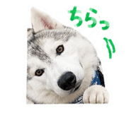 843366214