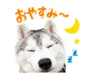 843366224