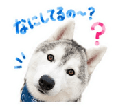 843366229