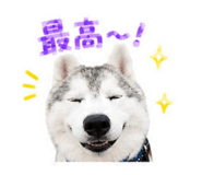 843366241