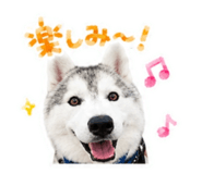 843366242