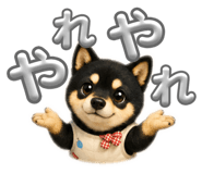 843366582