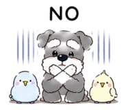 843367044