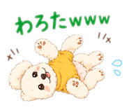 843367148