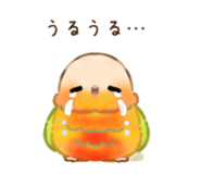 843367214