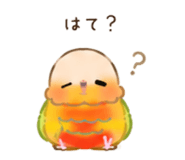 843367217