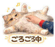843367819