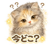 843367823