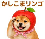 843367844
