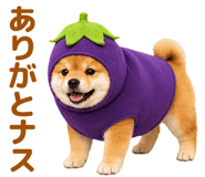 843367845