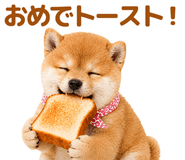 843367855