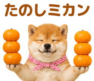 843367856