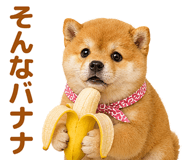 843367857