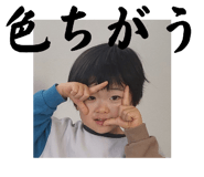 843368011