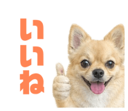 843368178