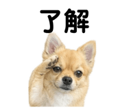 843368180