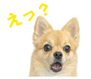843368182