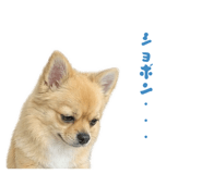 843368183