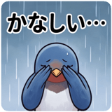 843368205