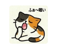 843368726