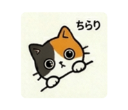843368727
