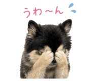 843369070