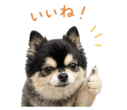 843369071